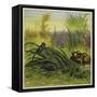Frog and Fly-Ernest Henry Griset-Framed Stretched Canvas
