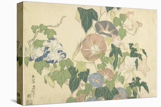 Frog and Morning Glories, C. 1832-Katsushika Hokusai-Stretched Canvas