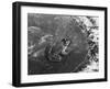 Frog Bath-null-Framed Photographic Print