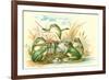 Frog Ensemble-null-Framed Premium Giclee Print