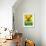 Frog Frolic - Playmate-William McLauchlan-Framed Giclee Print displayed on a wall