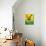 Frog Frolic - Playmate-William McLauchlan-Mounted Giclee Print displayed on a wall