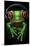 Frog - Headphones-Trends International-Mounted Poster