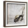 Frog in Pond-null-Framed Giclee Print