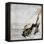 Frog in Pond-null-Framed Stretched Canvas