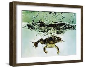 Frog Jumping Into an Aquarium-Gjon Mili-Framed Photographic Print