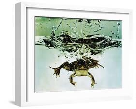 Frog Jumping Into an Aquarium-Gjon Mili-Framed Photographic Print