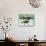 Frog Jumping Into an Aquarium-Gjon Mili-Photographic Print displayed on a wall