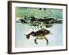Frog Jumping Into an Aquarium-Gjon Mili-Framed Photographic Print