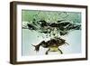 Frog Jumping Into an Aquarium-Gjon Mili-Framed Premium Giclee Print