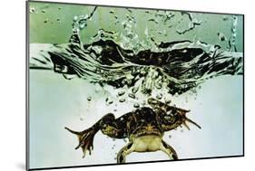 Frog Jumping Into an Aquarium-Gjon Mili-Mounted Premium Giclee Print