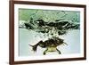 Frog Jumping Into an Aquarium-Gjon Mili-Framed Giclee Print