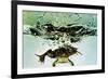 Frog Jumping Into an Aquarium-Gjon Mili-Framed Giclee Print