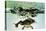 Frog Jumping Into an Aquarium-Gjon Mili-Stretched Canvas