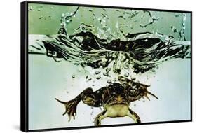 Frog Jumping Into an Aquarium-Gjon Mili-Framed Stretched Canvas