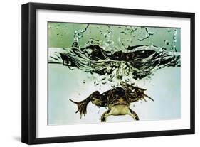 Frog Jumping Into an Aquarium-Gjon Mili-Framed Giclee Print