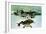 Frog Jumping Into an Aquarium-Gjon Mili-Framed Giclee Print