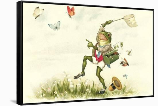 Frog Lepidopterist-null-Framed Stretched Canvas