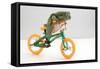 Frog on a Bike-null-Framed Stretched Canvas