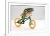 Frog on a Bike-null-Framed Photographic Print