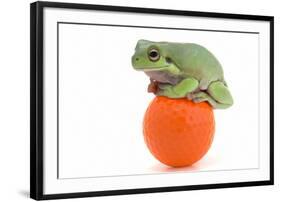 Frog on a Golf Ball-null-Framed Premium Photographic Print