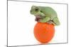 Frog on a Golf Ball-null-Mounted Premium Photographic Print