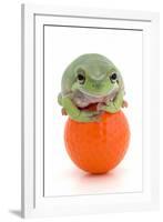 Frog on a Golf Ball-null-Framed Photographic Print