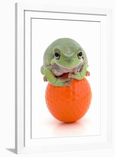 Frog on a Golf Ball-null-Framed Photographic Print