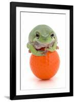 Frog on a Golf Ball-null-Framed Photographic Print