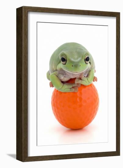 Frog on a Golf Ball-null-Framed Photographic Print