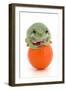 Frog on a Golf Ball-null-Framed Photographic Print