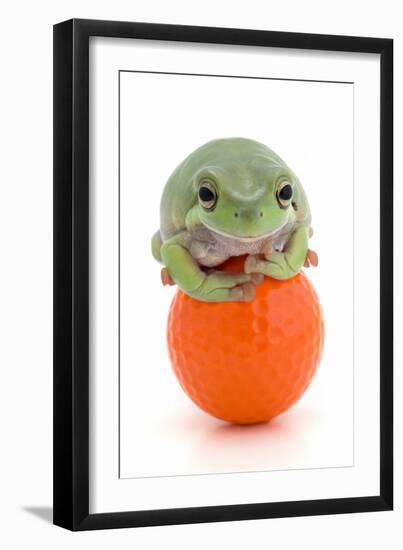 Frog on a Golf Ball-null-Framed Photographic Print