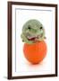 Frog on a Golf Ball-null-Framed Photographic Print