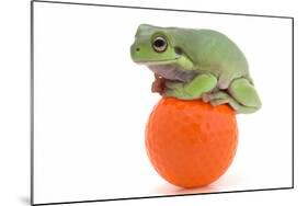 Frog on a Golf Ball-null-Mounted Photographic Print