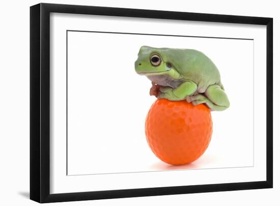 Frog on a Golf Ball-null-Framed Photographic Print