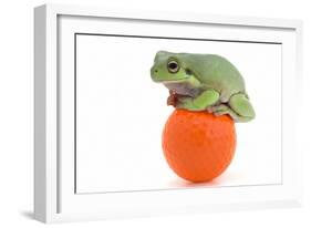 Frog on a Golf Ball-null-Framed Photographic Print