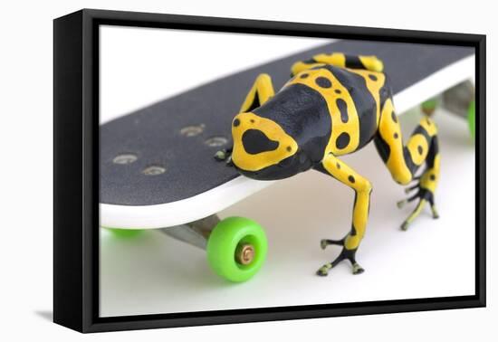 Frog on a Skateboard-null-Framed Stretched Canvas