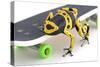 Frog on a Skateboard-null-Stretched Canvas