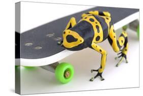 Frog on a Skateboard-null-Stretched Canvas