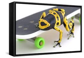 Frog on a Skateboard-null-Framed Stretched Canvas