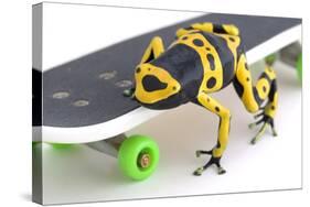 Frog on a Skateboard-null-Stretched Canvas