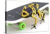 Frog on a Skateboard-null-Stretched Canvas