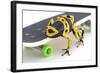 Frog on a Skateboard-null-Framed Photographic Print