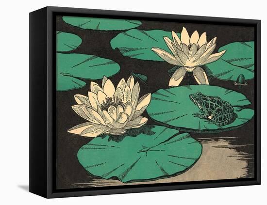 Frog on Lily Pad-null-Framed Stretched Canvas