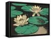 Frog on Lily Pad-null-Framed Stretched Canvas