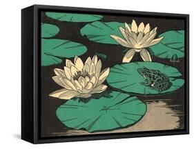 Frog on Lily Pad-null-Framed Stretched Canvas