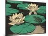 Frog on Lily Pad-null-Mounted Art Print