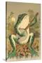 Frog Playing Banjo in Moonlight-null-Stretched Canvas