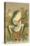 Frog Playing Banjo in Moonlight-null-Stretched Canvas