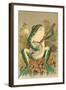 Frog Playing Banjo in Moonlight-null-Framed Art Print